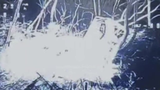 Кадры с Днепропетровского направления