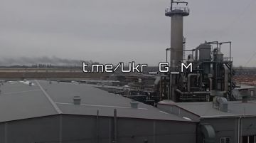 ��������� ����� ������� �� ����������������� � ���� ���������� ������������ ������� �������