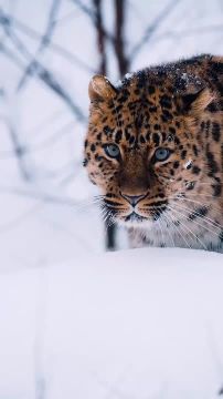 Стоит только, поверить, что вы можете - и вы уже на полпути к цели