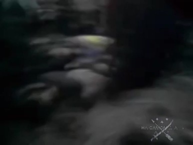 �������� ��� ������! 2014 ���