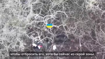 ������������ "��" ��� ���� �� ������� � ���������