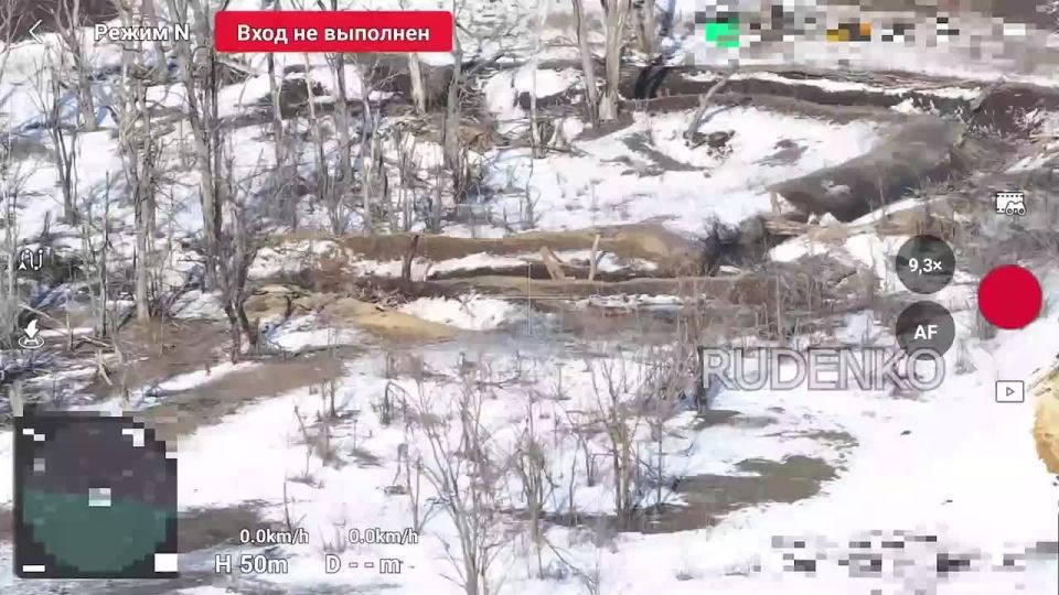 ������ �������: ����� ������ ������ ����������� ����������� ����� ������� �� ������ �������� ������ ��� � ���������������� �������