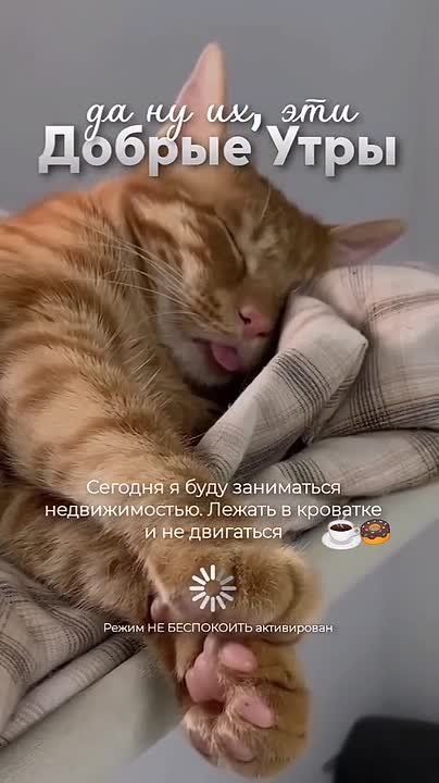 �� ����� ���� ����� - ��� �� ������ ��� ����� �����