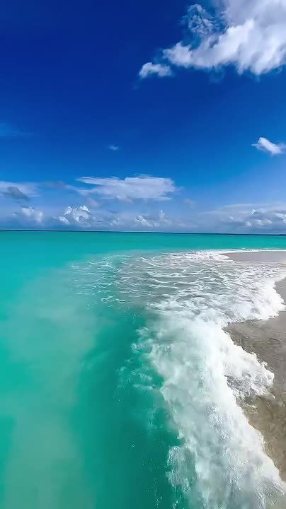 ������� ����. ����� ����� ����� �����