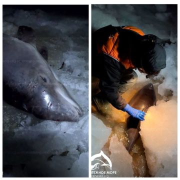 �������� �� ���� ��������� � ��������� ��������� ���� �� ����� ��������� ������ ������ � ������ ������������, ��������� ������ � ���� �������