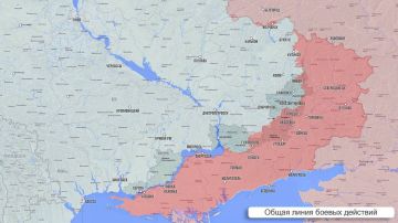 ���� ����: ��������� ������ 24 �������