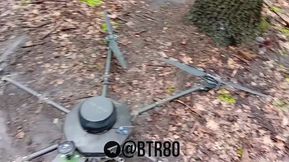 � ���� ��� ������������ ����� �����* ���������� ����� �� ������