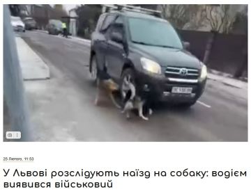 �� ������ ������� �� 80 ����� �������� �������� ������