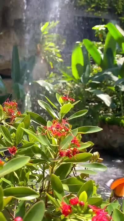 ���������� ��������� � ����� ����� ������� ������. ��� ���������� �����, ������ ���� ������� ������, � ����� � ��������