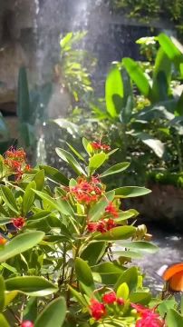 Позитивное отношение к жизни может творить чудеса. Оно продлевает жизнь, делает вашу походку бодрой, а глаза — сияющими