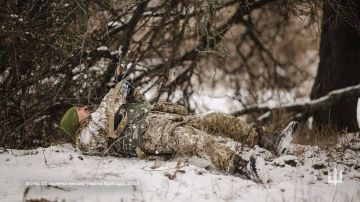Киевский режим зря сжег резервы: Анпилогов о провале попытки контрудара ВСУ на Запорожье