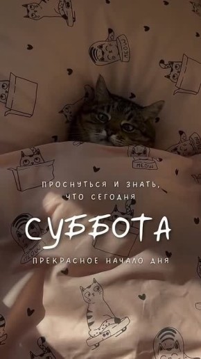 �� ��� ���������� �����. ������ ��. ������� ������ � ���������������: