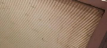 ������������� ������ � �������� ���� ����� ����� ����������� �����