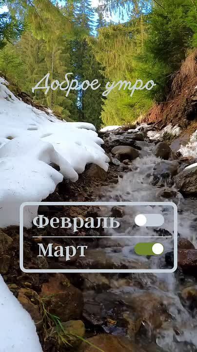 ��������� ���������� �����. ����� ������� ����� �������� ���� ��������, ������������ ���� ���� �������� �����