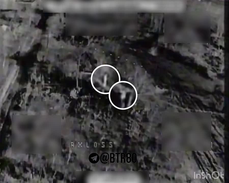 Рубрика: "Смертолюбцы недели"