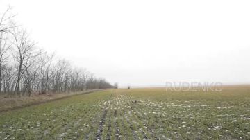 ������ �������: ����� ����������� �������� ��� ������ �.�. ������ � ����������� ������� ��������� FPV-������ ����� ����������� ������ 58-� ������������� ����� ����������� ����� ������