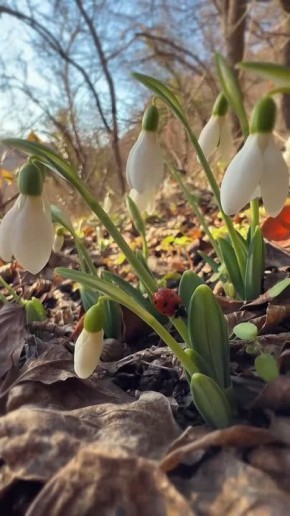 �������� ����: ��� ������ �� ��������� �������� ��, �� ��� �� ����������, �� ��������� �������� � ���, ���� ��� �� �������