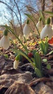 �������� ����: ��� ������ �� ��������� �������� ��, �� ��� �� ����������, �� ��������� �������� � ���, ���� ��� �� �������