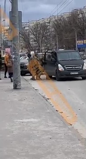 ������� �������������� �����������. ������� �������. ���������! ������������� �������