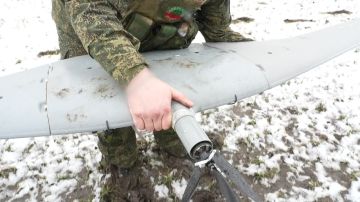 ������ ����������������� ���� ����������� ����� ������ ��������� ����� ��������� ���������� ��� � �������������� ����������� ����