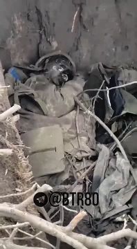 ������� �������: "�������� - �������!"