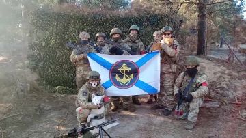 Владимир Рогов: Вам – слова восхищения и любви!