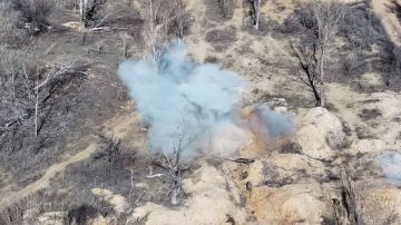 ������ ������� ������ ��������� ������� ��� � ���������������� �������