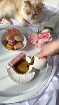 ����� ����� - ����� ���� ������ ������������ ��