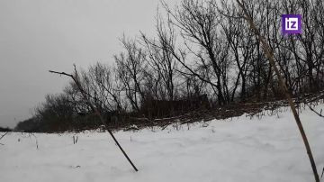 "������ ����� �� ����": �������������� ����������� ����� "�����" ���������� �������������� ������ ������ � �������� ��� �� ���������������� �����������, �������� � ���������� ��