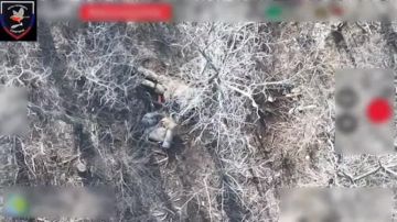 ������ ������ ����������� ����������� ����� "������" �� �� �� �������, ������� �� ��������