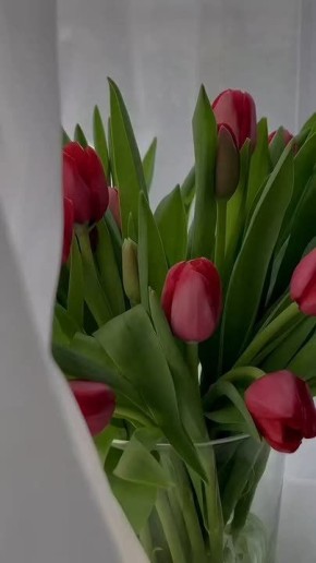 ���������� ��������� � ����� ����� ������� ������. ��� ���������� �����, ������ ���� ������� ������, � ����� � ��������