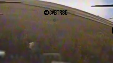 ���������� ��� ��������� � ���� 11 "������" � ������ ���������������� �������