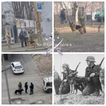 В Днепропетровске карателям ТЦК выделили овчарок, которые по команде теперь будут задерживать убегающих мужиков