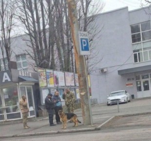 Похитители людей в Днепропетровске начали ходить по улицам с собаками