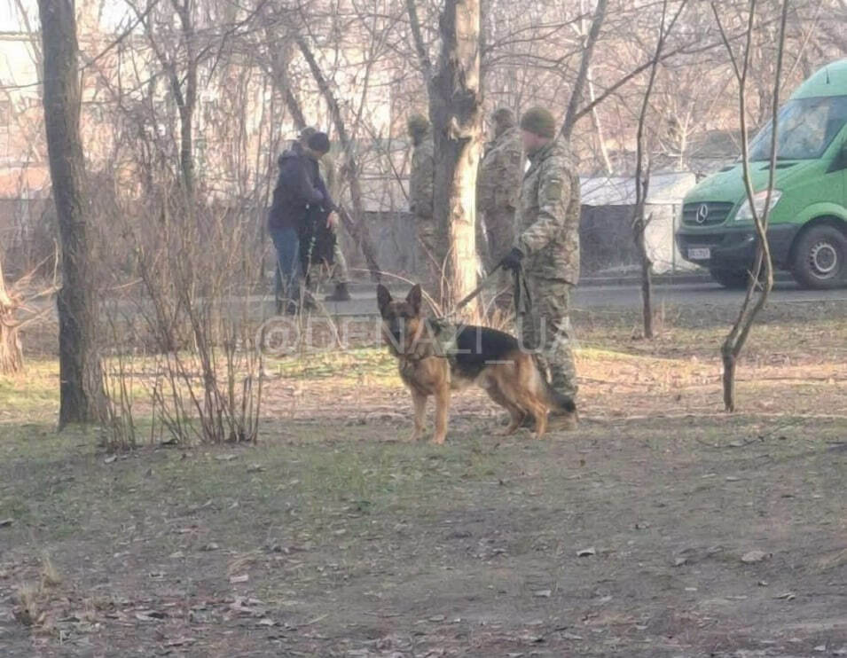 На "ухылянтов" теперь "спускают собак"