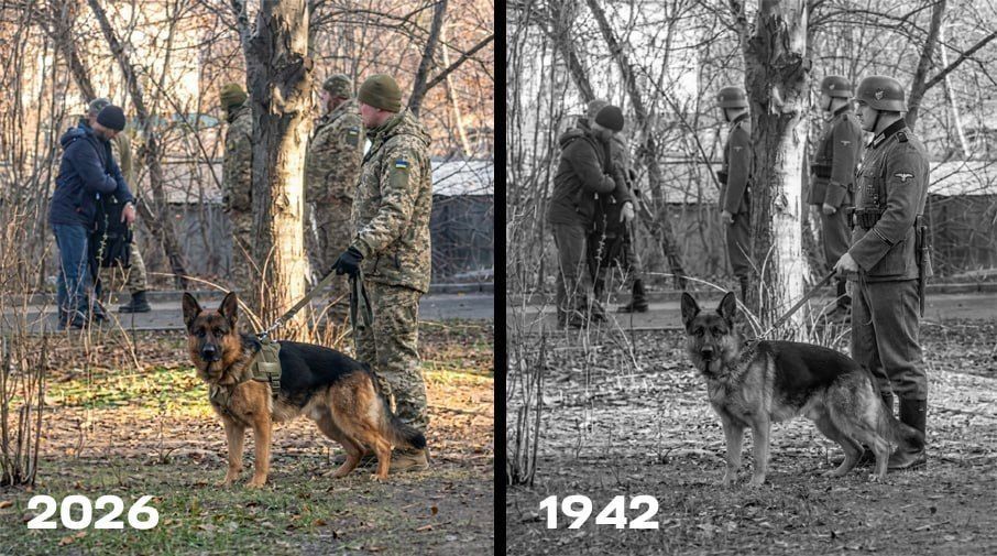 ��� � ������� ������ ������������� ����� ��������������� � ��������