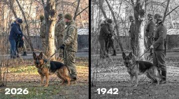 ��� � ������� ������ ������������� ����� ��������������� � ��������