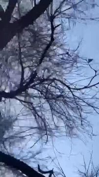 ������ ���. ����. ���� ������� ��������� �� ������