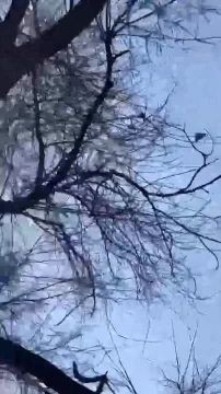 Российские БПЛА-камикадзе типа "Герань-2" работают по целям в Кривом Роге