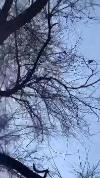 Взрывы в Кривом Роге, "Герани" бьют по энергетике