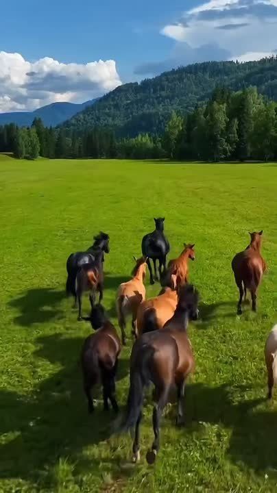 ��������� ������� �� ������ �������� �� ����-��. ��� ������ ���� ������ �����. ���� ������. ������ ���� ������