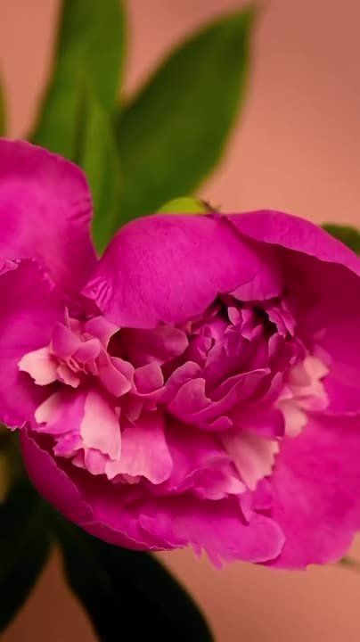 ������ ����� ����, ��� ���������� ������ ���