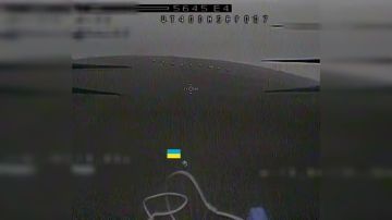 ���������� ����������� ����� ����������� ����� ���� ��� ����������� ���� 69 ������� ��������� 35 ����� ����������� ����� "������" � ���������������� �������