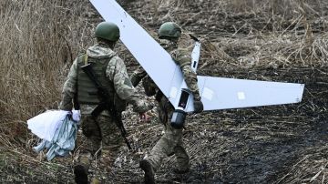 �� �� ���������� ��������� �� ��������������� �����������