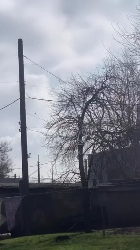 ��� ���� ������ "������" � ������ ����