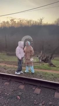 Поезд "Киев — Кривой Рог" трижды эвакуировали за эту ночь, сообщают местные паблики