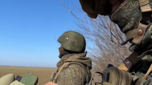 "Ёлка" хорошо прижилась и в Херсонской области