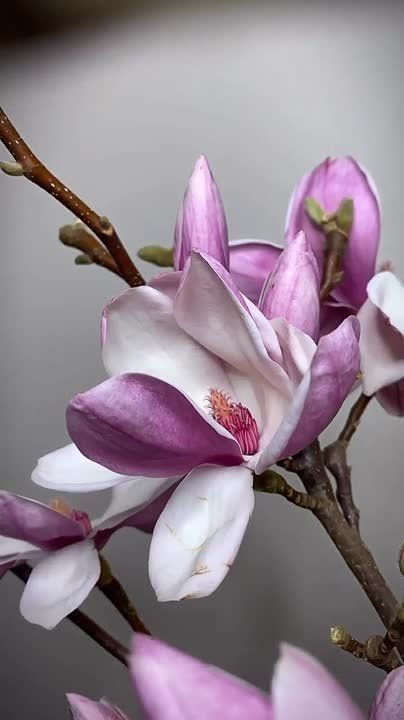 �� ����� ��������� �����, ����� � ����� ��������� ������� �������. ������ ��������� �������� � ����� ����� �����