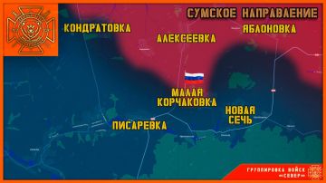 ��� ������: #������ �� ���� 1 ������ 2026 ����