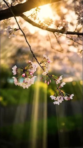 ������� �������� ����, � �� �������, ��� ������� ����